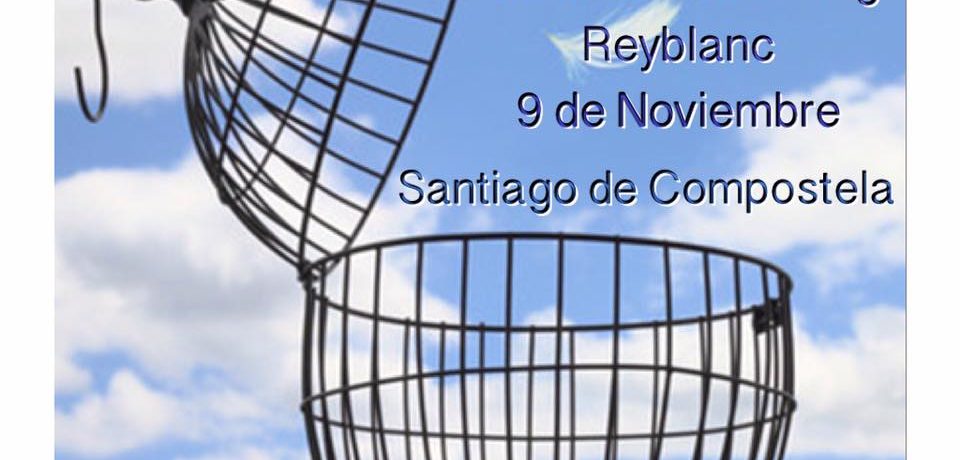 curso de coaching reyblanc santiago de compostela 2016